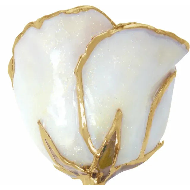 April White Diamond Colored Lacquered Birthstone Rose with Gold Trim