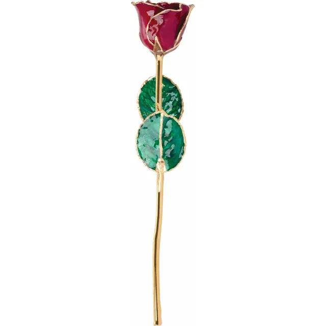 January Garnet Lacquered Birthstone Colored Rose with Gold Trim