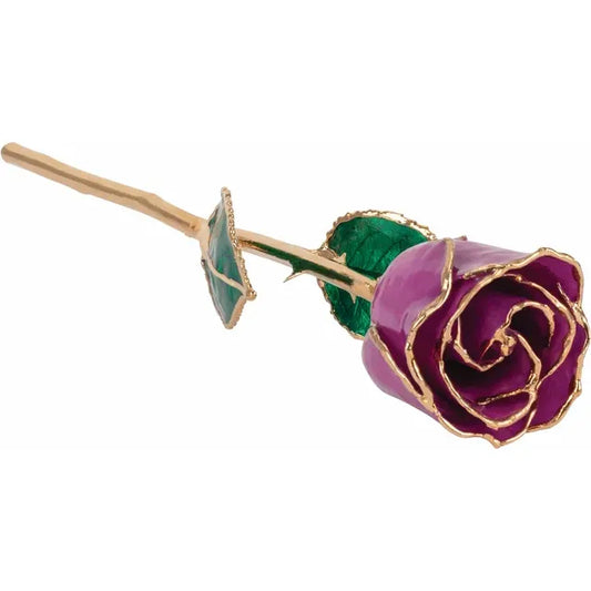 February Amethyst Colored Lacquered Birthstone Rose with Gold Trim