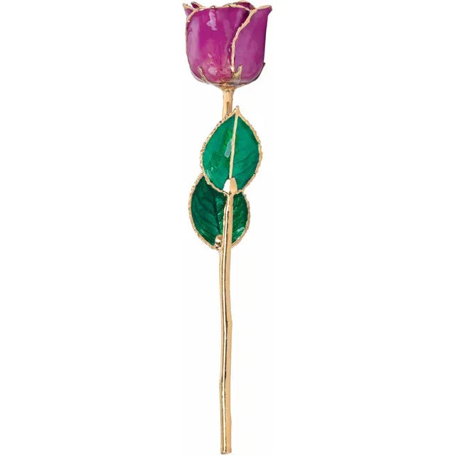 February Amethyst Colored Lacquered Birthstone Rose with Gold Trim