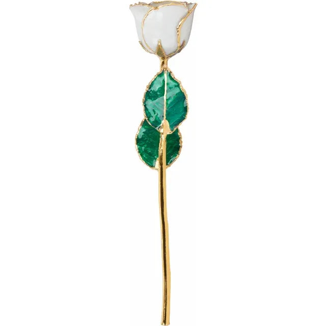 June Pearl Colored Lacquered Birthstone Rose with Gold Trim