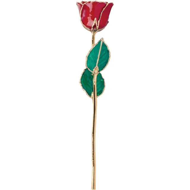 July Ruby Colored Lacquered Birthstone Rose with Gold Trim