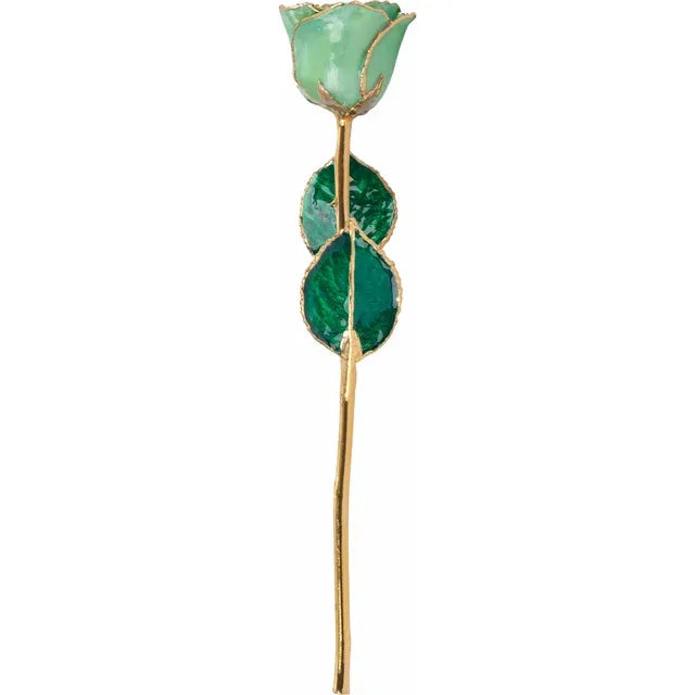 August Peridot Colored Lacquered Birthstone Rose with Gold Trim