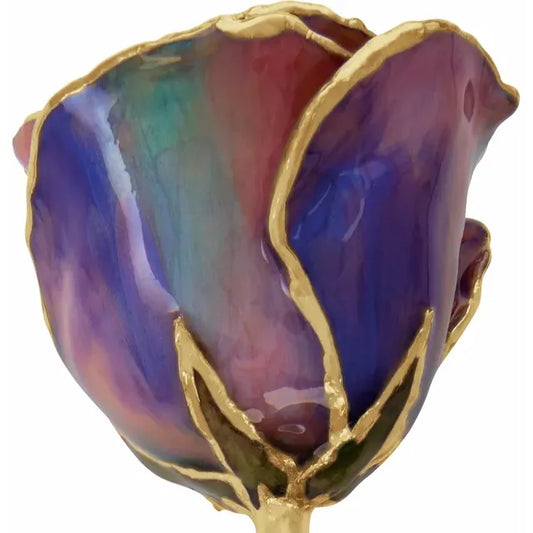October Opal Colored Lacquered Birthstone Rose with Gold Trim