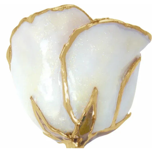April White Diamond Colored Lacquered Birthstone Rose with Gold Trim