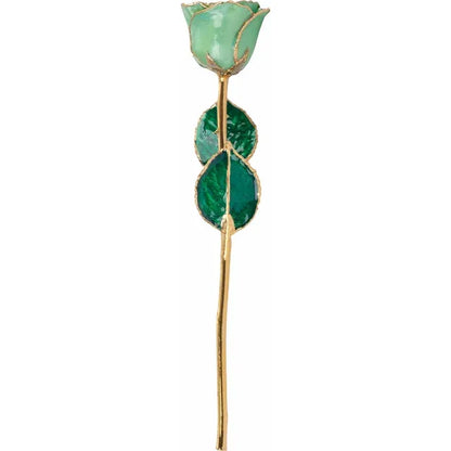 August Peridot Colored Lacquered Birthstone Rose with Gold Trim