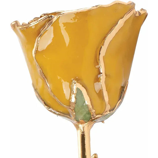 November Yellow Topaz Citrine Colored Lacquered Birthstone Rose with Gold Trim