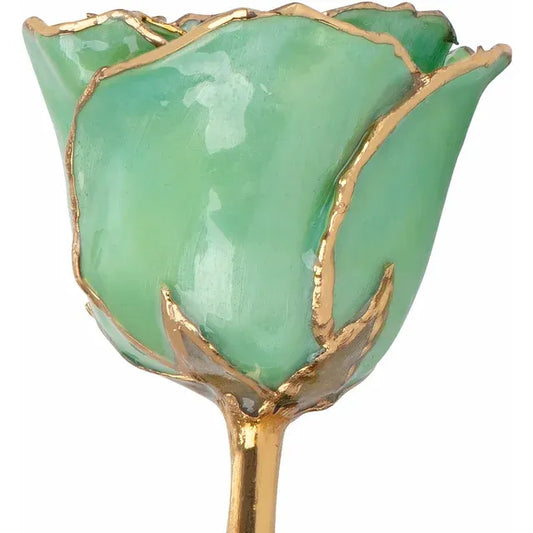 August Peridot Colored Lacquered Birthstone Rose with Gold Trim