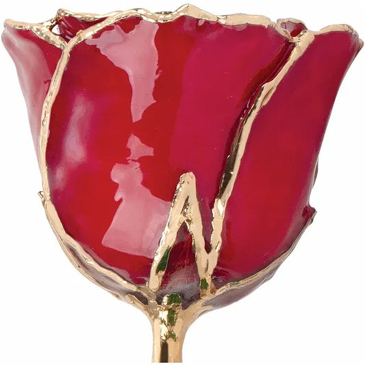 July Ruby Colored Lacquered Birthstone Rose with Gold Trim