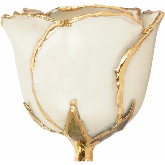 June Pearl Colored Lacquered Birthstone Rose with Gold Trim