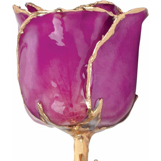 February Amethyst Colored Lacquered Birthstone Rose with Gold Trim